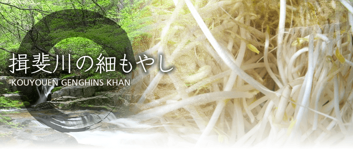 揖斐川の細もやし